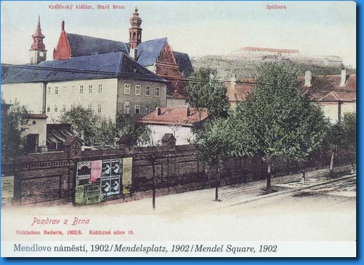 mendlak-1902.jpg